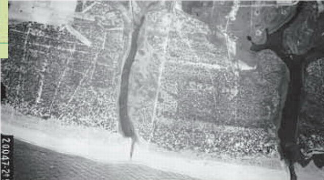 Imagen aérea de 1946 donde se puede ver el estanque de L'Illa (en el centro) y La Ricarda (en la derecha)
